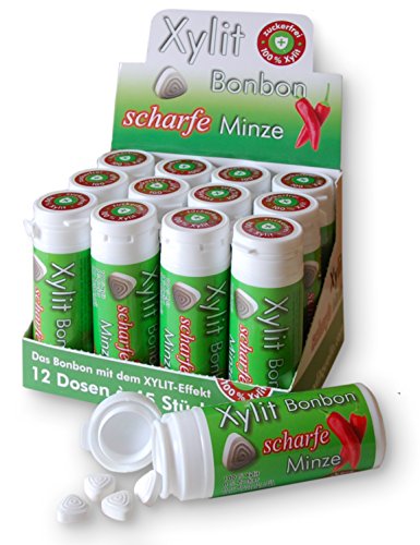 Xylit Bonbon Scharfe Minze, Inhalt je Packung 45 Stk, 12 Packungen
