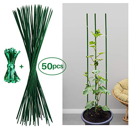 Jane Choi 50 Stück Pflanzenstütze Tomatenstangen Rankgitter Grün Pflanzstab Rankstab 60 cm aus Bambus ca. Ø 5 mm