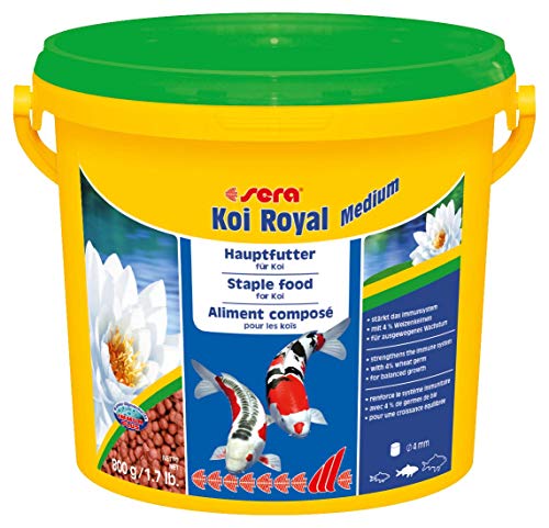 sera KOI Royal medium (4 mm) ein Koifutter bzw. Hauptfutter für die optimale Entwicklung von Koi von 12- 25cm mit Präbiotika für verbesserte Futterverwertung, geringere Wasserbelastung & weniger Algen