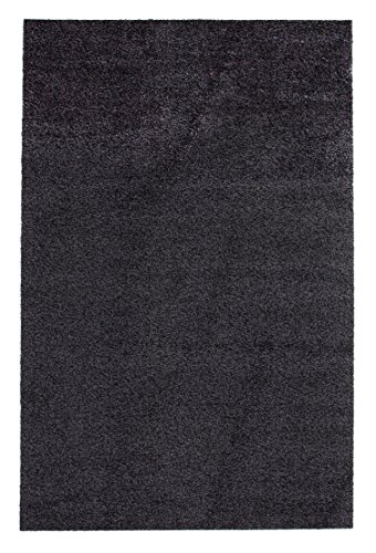 andiamo Schmutzfangmatte Samson waschbarer Teppich für den Innenbereich, 100 x 150 cm anthrazit