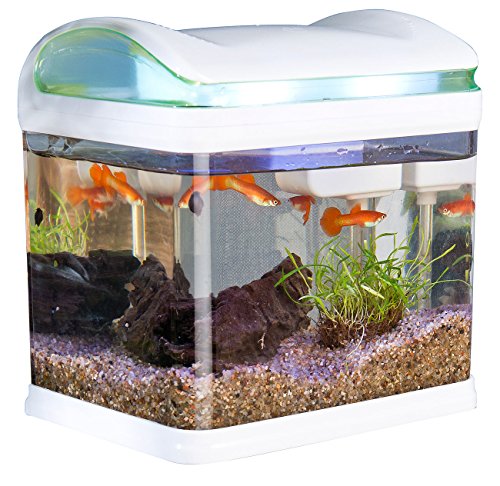 Sweetypet Aquarium: Transport-Fischbecken mit Filter, LED-Beleuchtung und USB, 3,3 Liter (Aquarien)