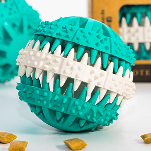 Premium Snackball für Hunde von PFOTENOLYMP - Kauspielzeug zur Unterstützung der Zahnpflege