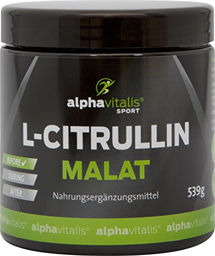 L-Citrullin Malat hochdosiert + Magnesium-Citrat - 539g - vegan - glutenfrei - laktosefrei - PRE WORKOUT BOOSTER