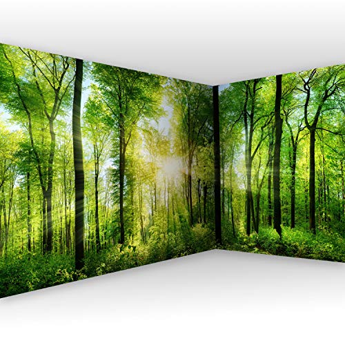 murando - Eckfototapete 550x250 cm - Vlies Tapete - Moderne Wanddeko - Design Tapete - Wandtapete - Wand Dekoration - Landschaft Natur c-A-0058-a-b