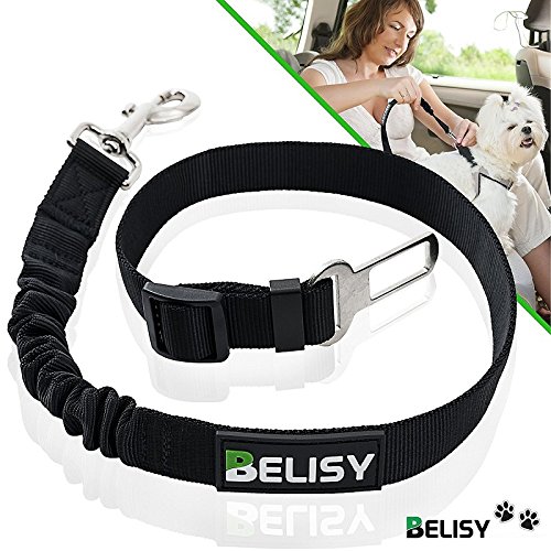 BELISY Hunde-Sicherheits-Gurt fürs Auto - höchste Sicherheit für Dich und Deinen Hund - mit besonders elastischer Ruckdämpfung für maximalen Komfort - passend für alle Hunderassen - Premium Markenqualität - Schwarz