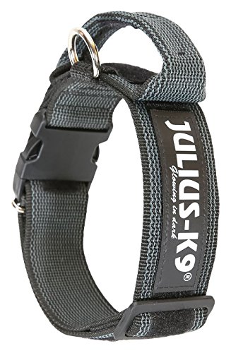 JULIUS-K9, 100HA-K-2015 Color & Gray K9-Halsband mit Haltegriff, Sicherheitsverschluss und Logo, 40 mm*38-53 cm, verstellbar, schwarz-grau,