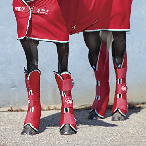 Horseware Amigo Travel Boots - Red/White - Transportgamaschen, Größe:Warmblut (L)