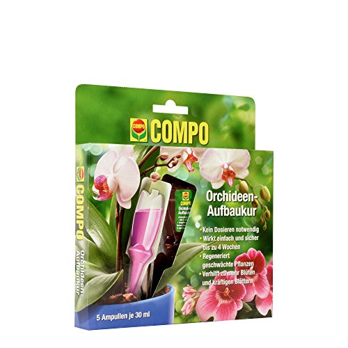 COMPO Orchideen-Aufbaukur für alle Orchideen-Arten, 4 Wochen Langzeitwirkung, 5 Ampullen je 30 ml
