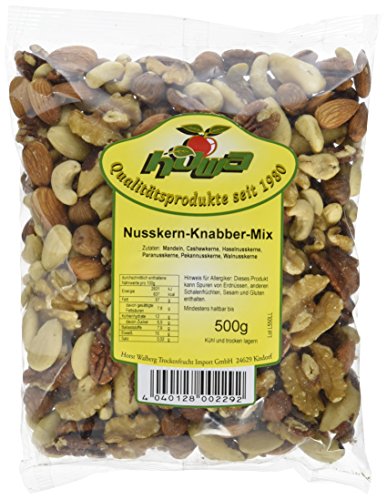 Howa Nusskern Knabber Mix - Nussmischung ohne Salz ohne Zusätze, 1er Pack (1 x 500 g)