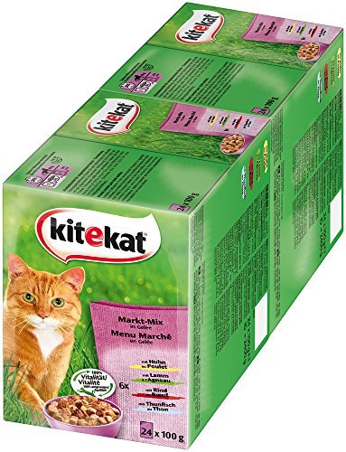 Kitekat Katzenfutter Nassfutter Adult für erwachsene Katzen Markt Mix in Gelee, 48 Portionsbeutel (2 x 24 x 100g)