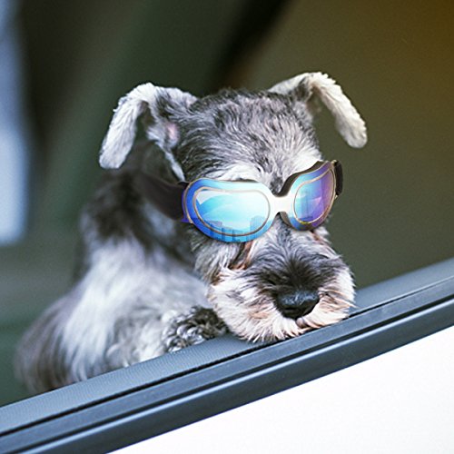 Namsan Sonnenbrille Hund hundebrille für Kleine Hunde Einstellbare Komfortabel UV-schutzbrille