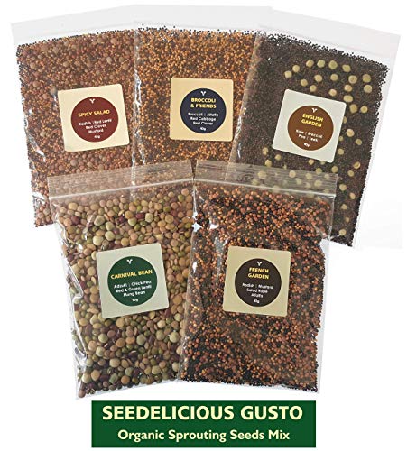Seedelicious Gusto Bio-Sprossen-Samen - Mix aus 15 Gemüse-Samen mit Alfalfa, Rettich, Senf, Brokkoli - Schnell wachsendes Superfood für besonders gesunde Ernährung |5 vorgemischte Päckchen |250g