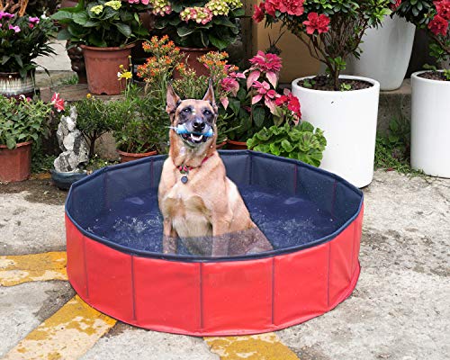 Yidarton Swimming Pool für Hunde Hundepool Doggy Pool Badewanne Pool Umweltfreundliches PVC Hundepool 160x30 cm Rot