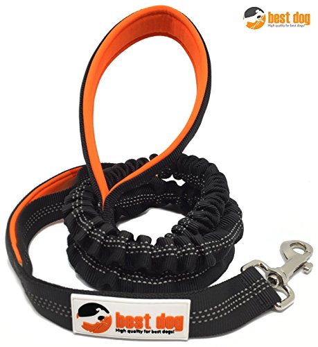 BEST DOG PREMIUM Hundeleine für große Hunde (Orange-Schwarz)