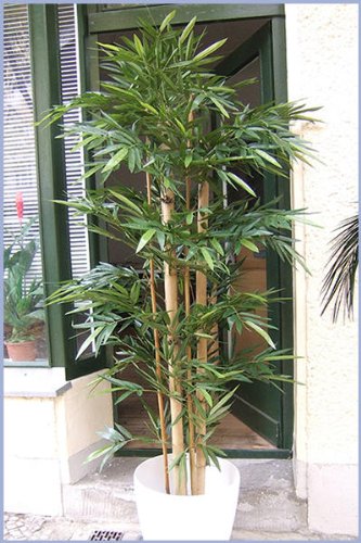 Künstlicher Giant Bambus 1,80m mit extra dicken natürlichen Bambusstangen, Sonderpreis