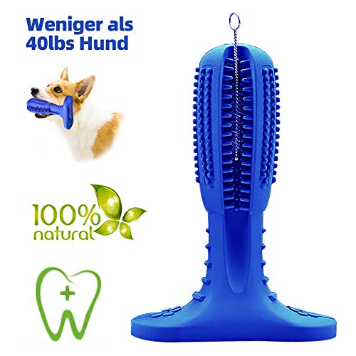 JarGaBo Hundezahnbürste, Hundezahnpflege Toy, Hunde Kauspielzeug Toy Naturgummi Molar Stick mit Reinigungsbürsten, Blau