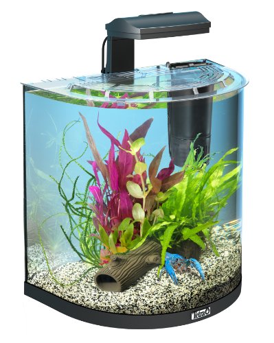 Tetra AquaArt Explorer Line Aquarium Komplett-Set 30 Liter anthrazit (gewölbteFrontscheibe, langlebige LED-Beleuchtung, ideal für die Haltung von Krebsen) anthrazit, 30 liters