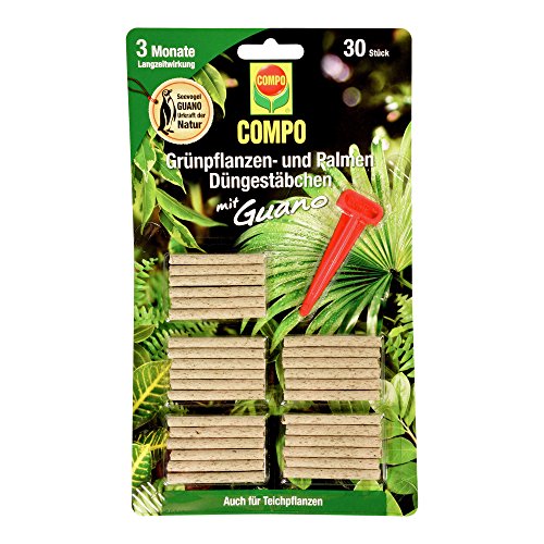 COMPO Grünpflanzen- und Palmen Düngestäbchen mit Guano, 3 Monate Langzeitwirkung, 30 Stück