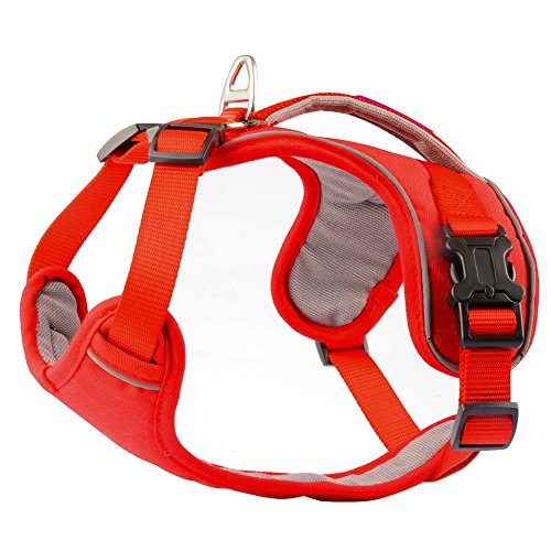Hundegeschirr, PetLoft weicher Schwamm gepolsterter Hals / Brust umstellbarer Hundegeschirr Hundegeschirr mit Rückhandgriff.