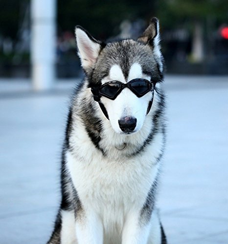 Namsan Hund Brille V-Sonnenbrille UV-Schutz Fashion Eyewear Goggles für Groß Hunde Haustier, Schwarz