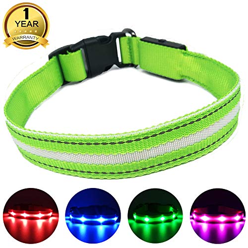 MASBRILL Leuchthalsband für Hunde Aufladbar LED Hundehalsband 100% Wasserdicht Blinkende Lichter mit USB (S, 40cm, Grün)