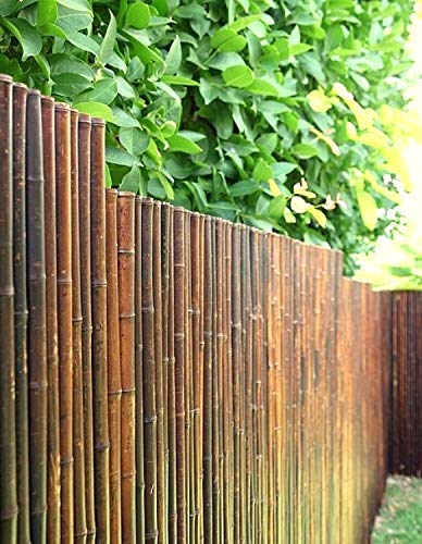 DE-COmmerce Robuster Bambus Holz Sicht Schutz Zaun ATY NIGRA I hochwertiger Windschutz Terrasse, Balkon, Garten I Bambusrohr Zaun mit geschlossenen Rohren 150 cm x 250 cm