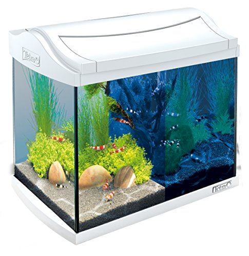 Tetra AquaArt Discovery Line LED Aquarium-Komplett-Set 20 Liter weiß (inklusive LED-Beleuchtung, Tag- und Nachtlichtschaltung, Innenfilter und Aquarienpumpe, ideal für Garnelen)