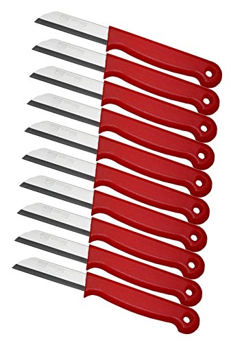 10 er Messer Set Solingen Gemüsemesser Küchenmesser Schälmesser aus Bandstahl - Germany rostfrei 16 cm Gesamtlänge - 6 cm Klinge (Rot)