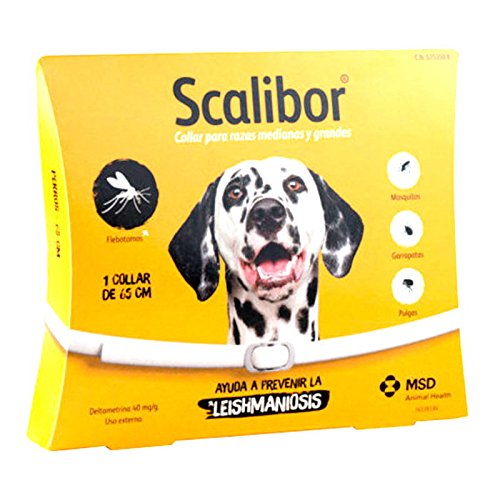 Scalibor – Zecken Halsband für große Hunde (1 Halsband 65 cm)