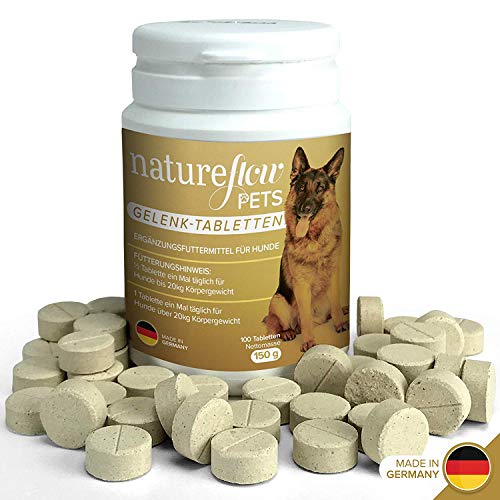 Gelenktabletten für Hunde - mit Grünlippmuschel, MSM und Teufelskralle - Hohe Akzeptanz beim Hund da keine Kapseln - 100 Tabletten für bis zu 6 Monate - In Deutschland hergestelltes Ergänzungsfutter