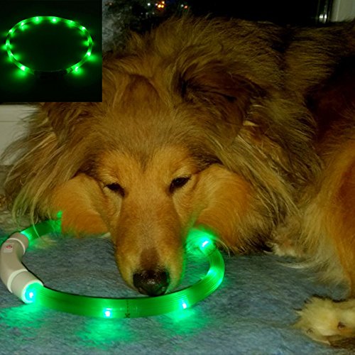 EisEyen LED Hundehalsband, LED Leuchthalsband Hunde Halsband USB Wiederaufladbar für Hunde, Katzen, Kabel im Lieferumfang enthalten