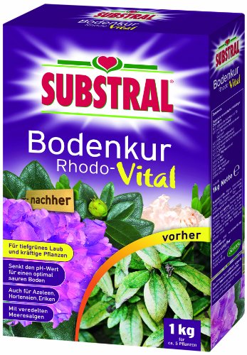 Substral Bodenkur Rhodo-Vital - 1 kg