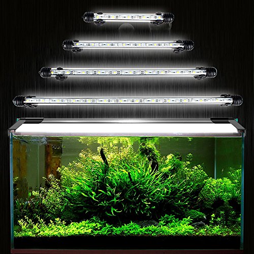 GreenSun Aquarium LED Beleuchtung Leuchte Lampe 21 LEDs 5050SMD 38CM Lighting für Fisch Tank EU Stecker weißlicht Wasserdicht