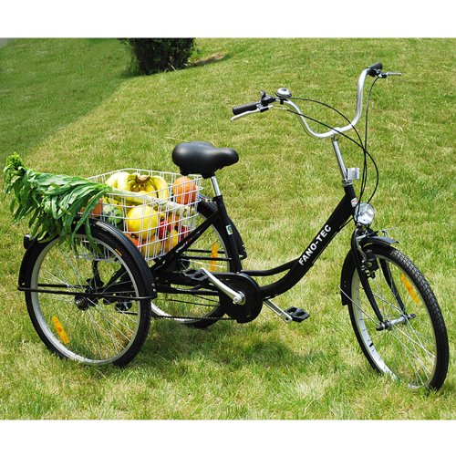 ZNL FANO-TEC Dreirad Für Erwachsene Lastenfahrrad Erwachsenendreirad Seniorenrad 24' 6-Gang-Schaltung Shimano FT-7009 Schwarz