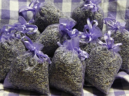 10 x Lavendelsäckchen mit echtem französischen Lavendel - Insgesamt 100g Lavendelblüten als Duftsäckchen
