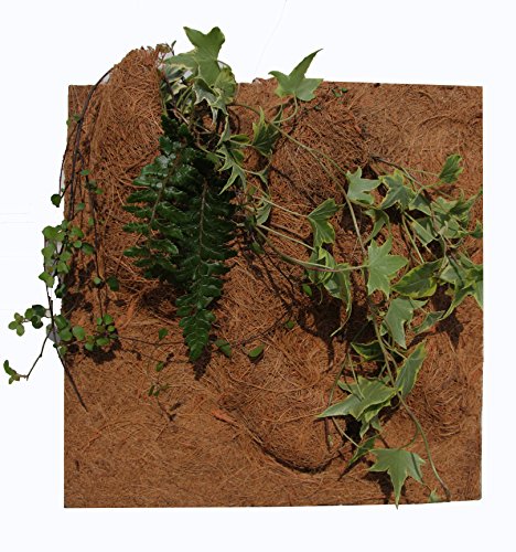 reptiles-planet natur Pflanzen Hintergrund für Terrarium, 20 x 30 x 1 cm