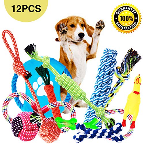 Parner Hundespielzeug, 12pcs Kauspielzeug Interaktives Spielzeug Baumwollknoten Spielset Seil Spielzeug für Kleine mittlere große